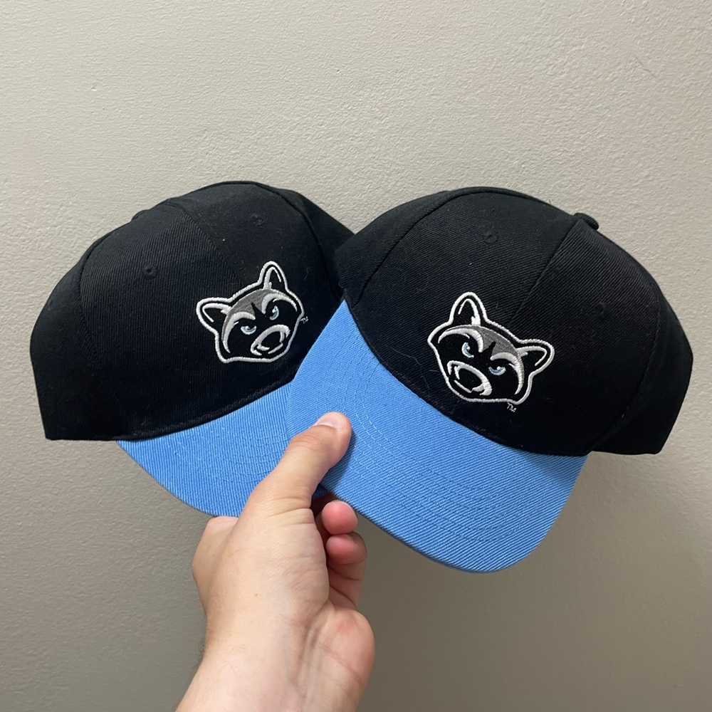 Hudson Valley Renegades Hats (2)